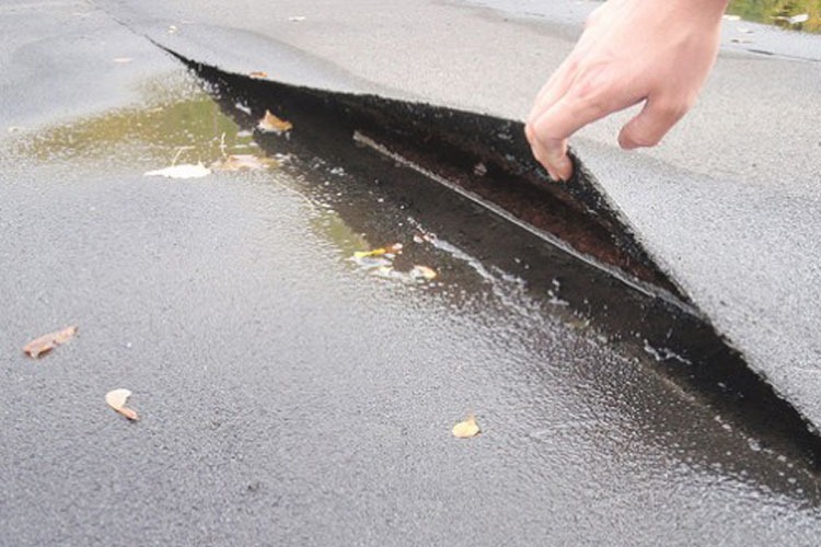 dakbedekking schuur wilt