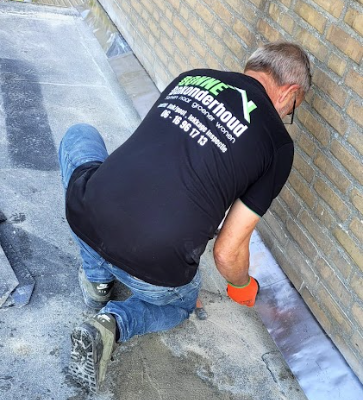 dakinspectie controleren